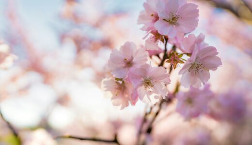 春は近い、月曜日の図書館にて