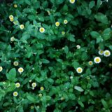 図書館で読んだ記事から考えること【ショーン・ペンの言葉】