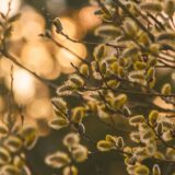 街の本屋が消える時代、それでも本を読む理由