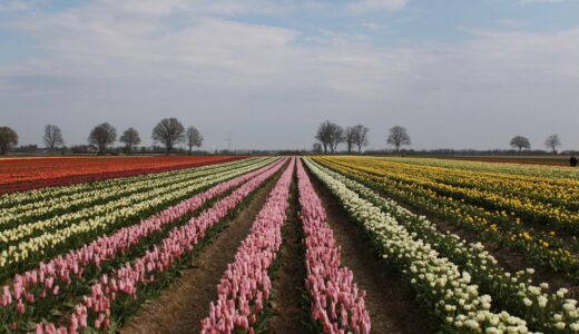 ゴールデンウィーク間近、50代からの人生を考える、火曜日の夜