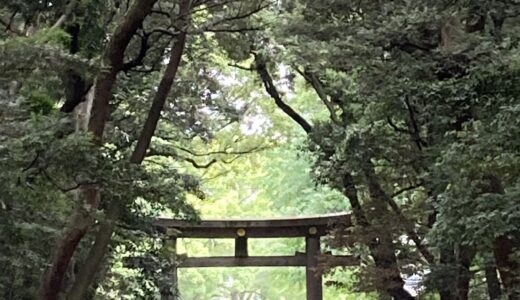 明治神宮を散策した日曜日の朝