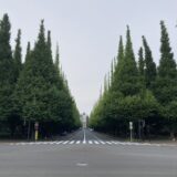 日曜日早朝、神宮外苑を走る