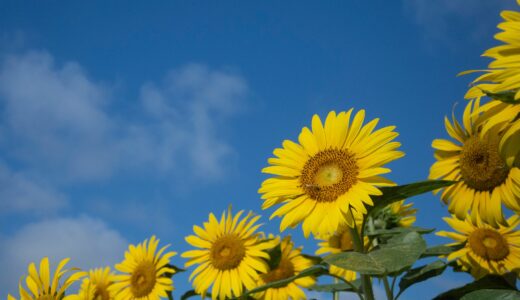 7月のある水曜日