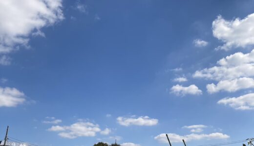 三連休の最終日