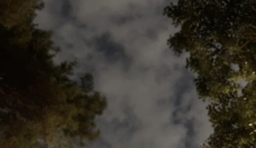勝ちにも負けにも5つの段階がある
