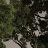 遠回りの帰り道、もう少しナニカ